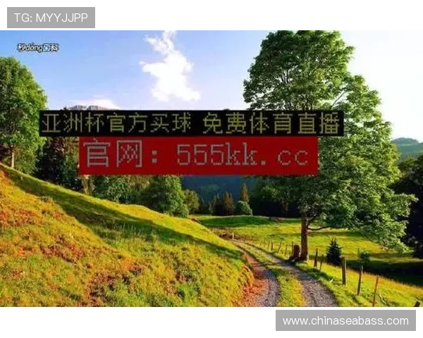 球探体育即时比分官网打造专业全面权威赛事数据服务平台体验升级