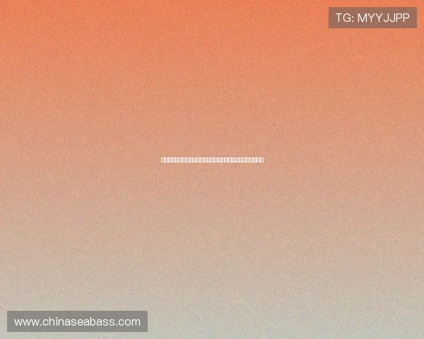 篮球直播免费高清观看平台最新官网在线直播赛事全程高清无广告